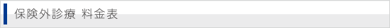 保険外診療 料金表